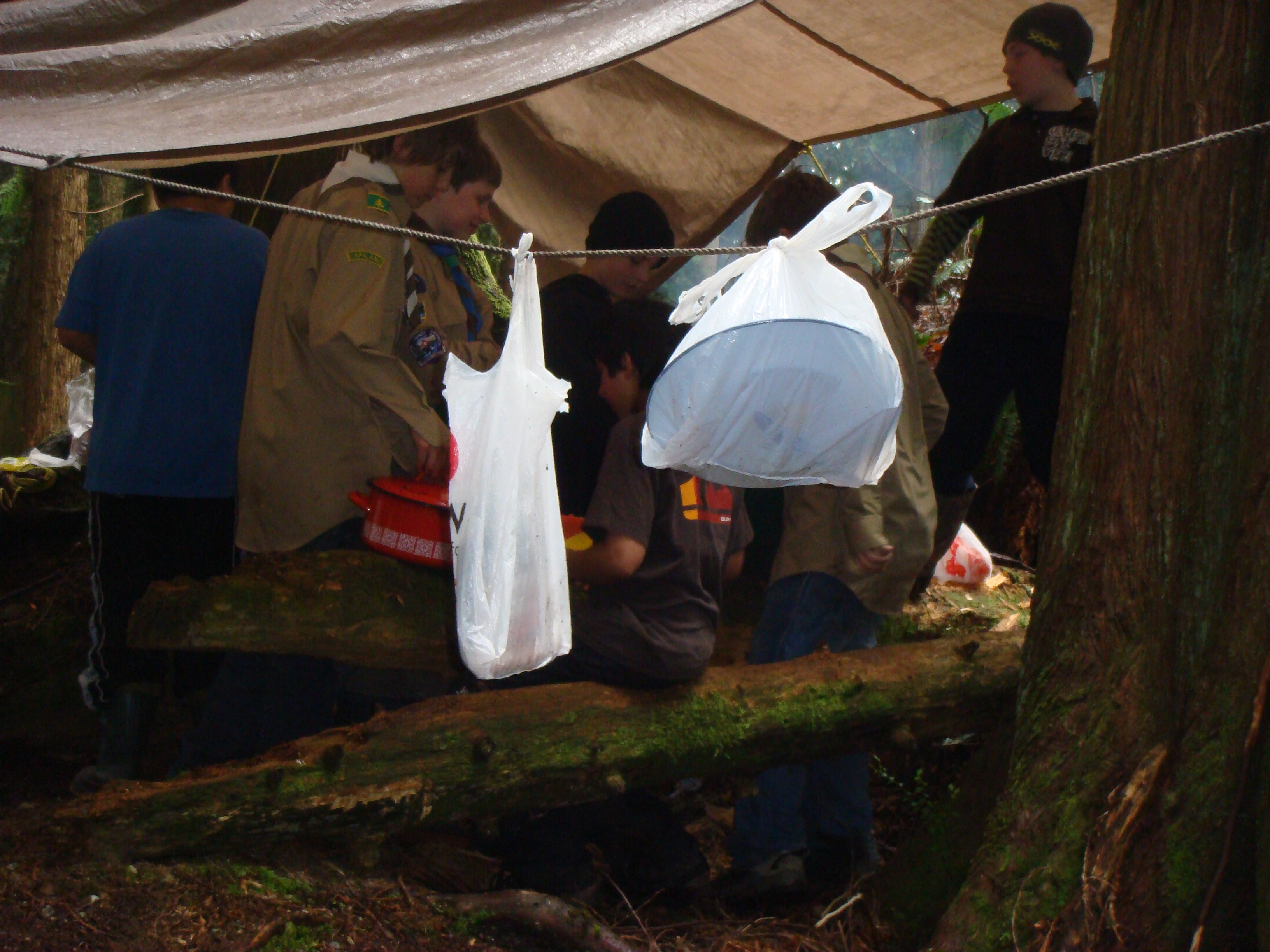 The Scout Kitchen