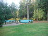 Cub Huts